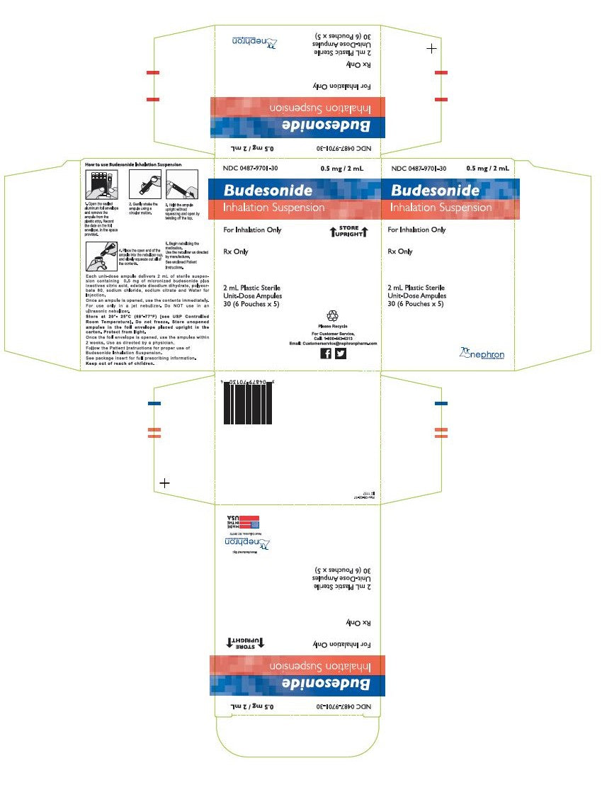 Budesonide Inhalation Susp. 0.5mg / 2mL 30x2mL