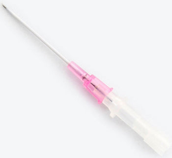 Jelco™ IV Catheter, 20g x 1", Pink