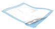 Cardinal Health Fluff Underpads, Lt. Blue, Small, 17" x 24", 300/Case