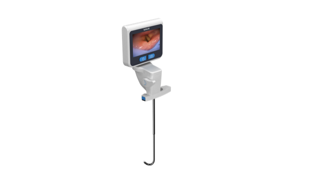 SafeLM™ Videoscope, Each